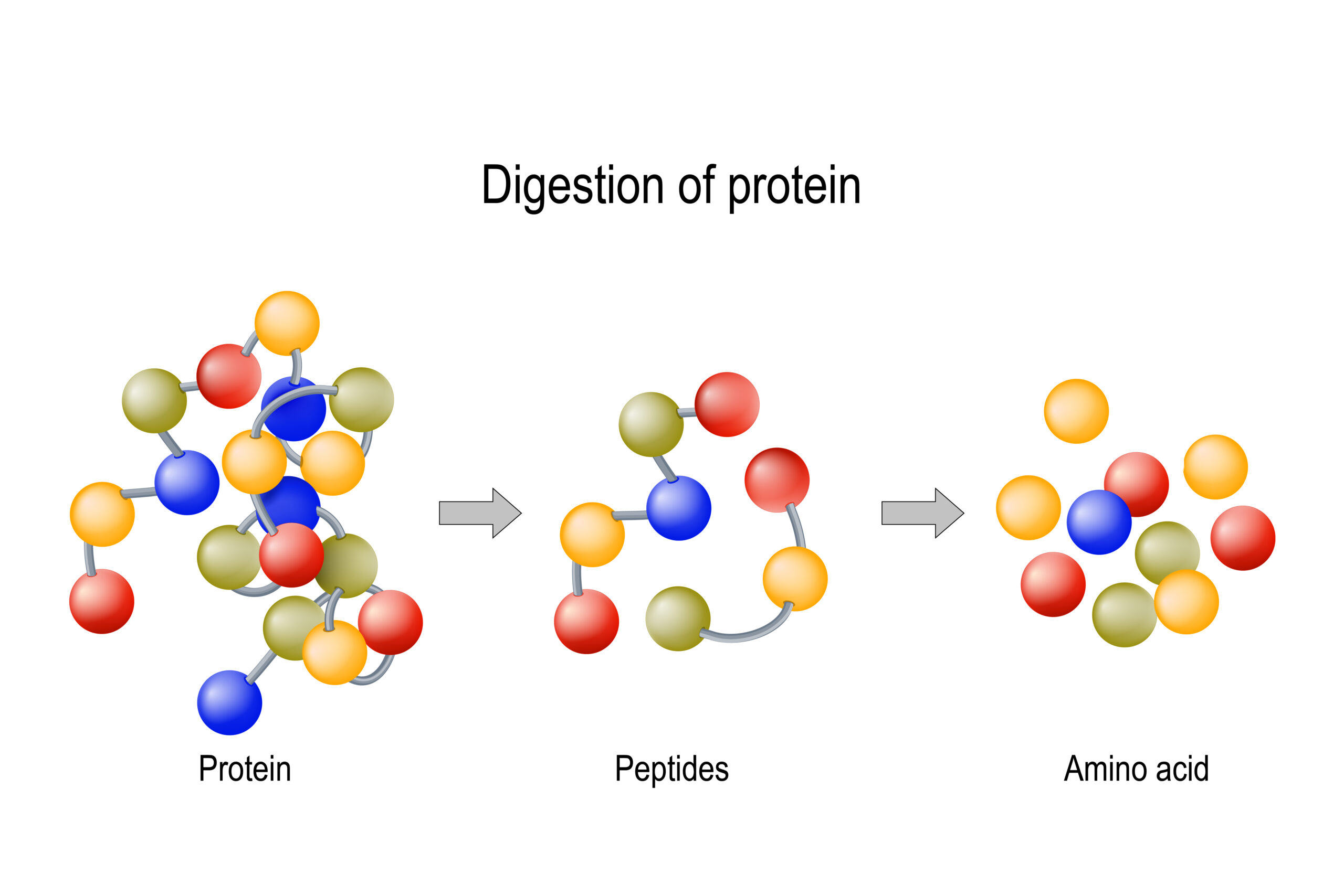 amino acids and proteins