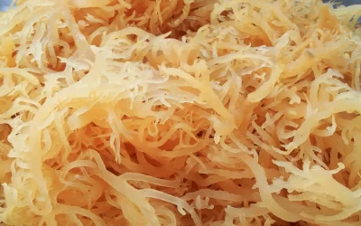 Unlocking the Potential of Sea Moss Gummies: Nature’s Gift for Wellness